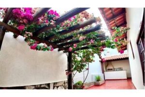 Casa 2 Quartos em Arniqueiras